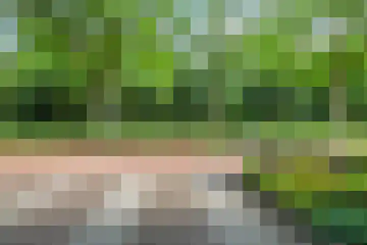 Bastinglaan 58 Doetinchem thumbnail 63