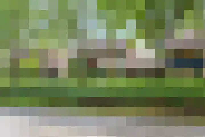 Bastinglaan 58 Doetinchem thumbnail 64