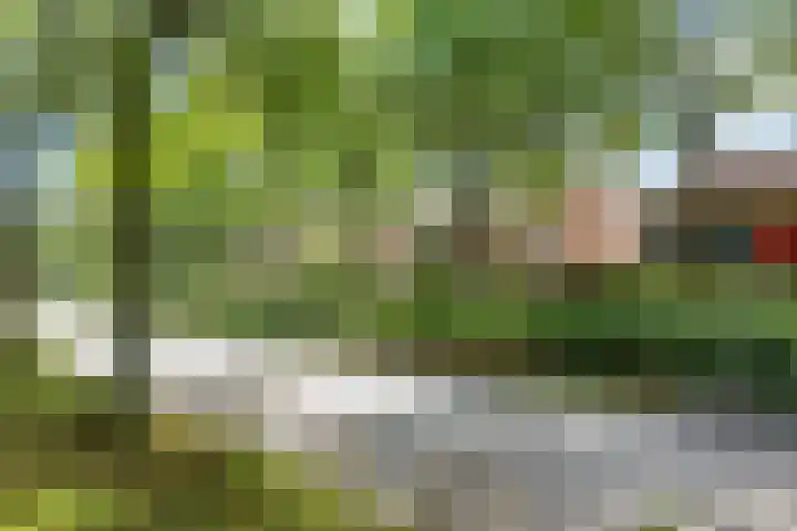 Bastinglaan 58 Doetinchem thumbnail 65