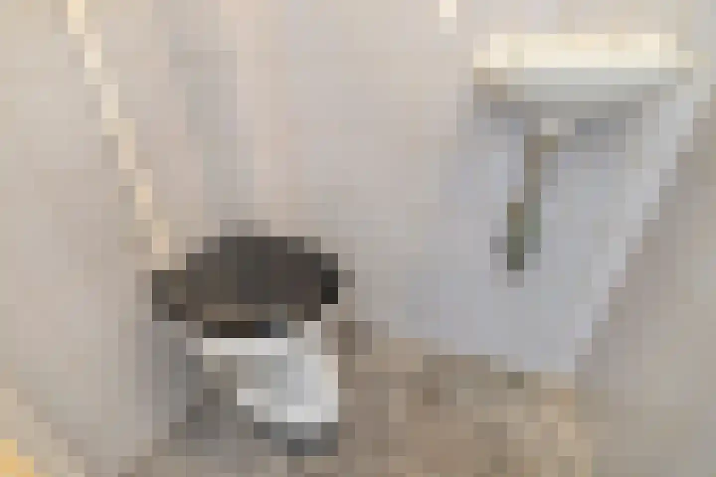 Bastinglaan 7 Delft thumbnail 11