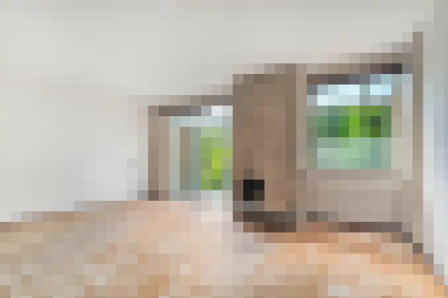 Bastinglaan 7 Delft thumbnail 13