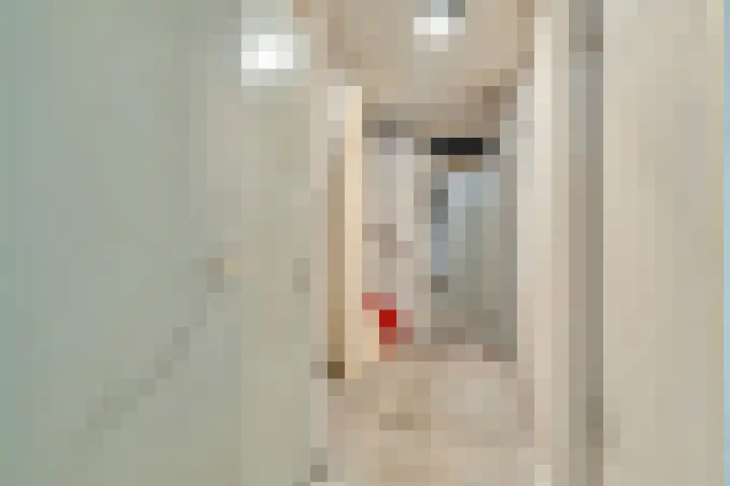 Bastinglaan 7 Delft thumbnail 34