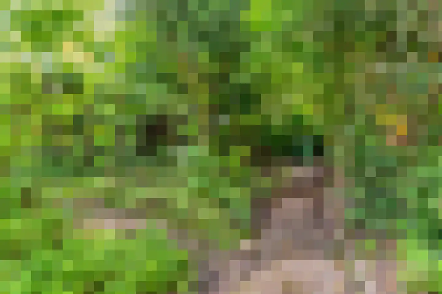 Bastinglaan 7 Delft thumbnail 37