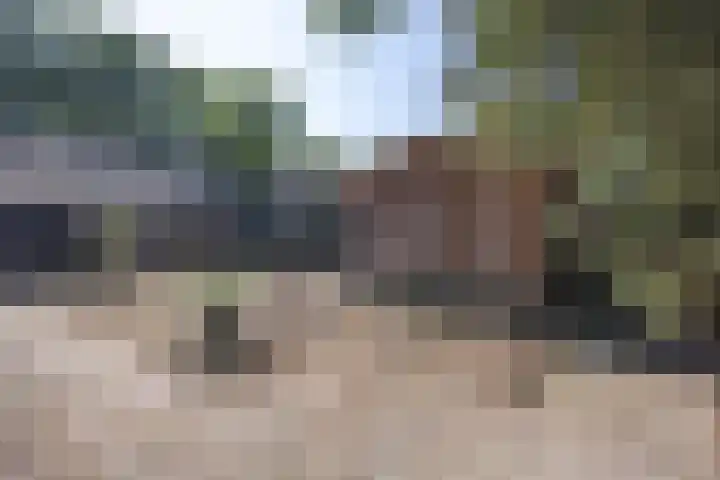 Bastinglaan 7 Enschede thumbnail 48