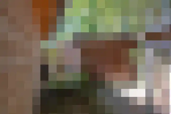 Bastinglaan 7 Enschede thumbnail 49