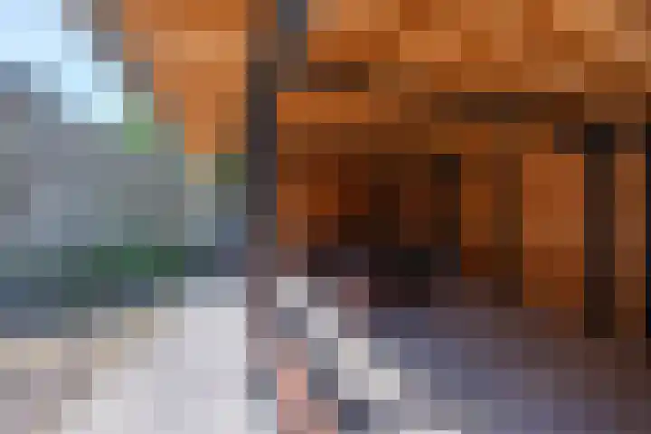 Bastinglaan 7 Enschede thumbnail 50