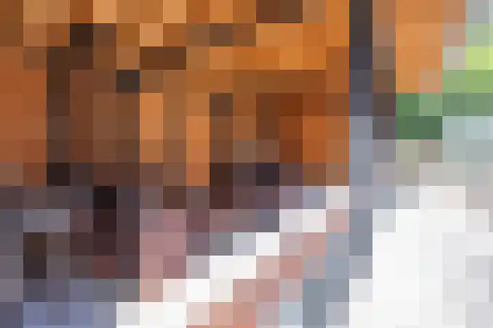 Bastinglaan 7 Enschede thumbnail 51
