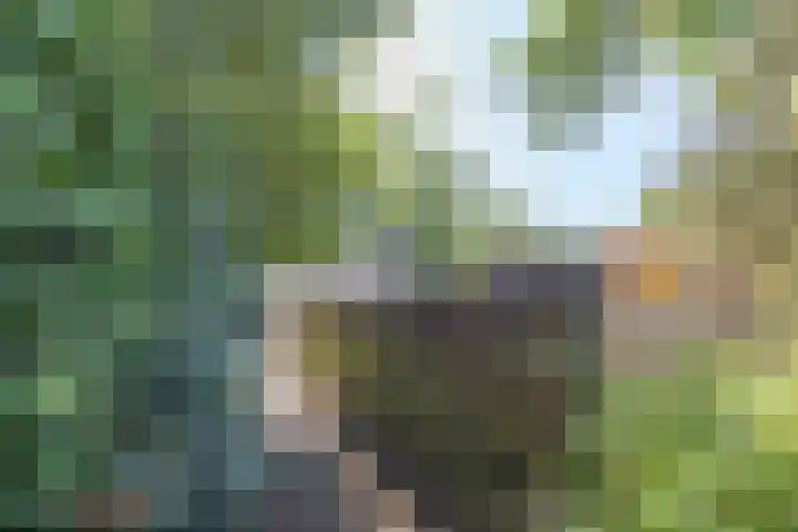 Bastinglaan 7 Enschede thumbnail 60