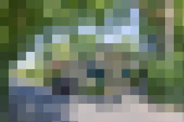 Bastinglaan 7 Enschede thumbnail 63