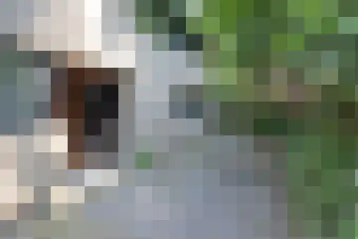 Bastinglaan 7 Enschede thumbnail 8