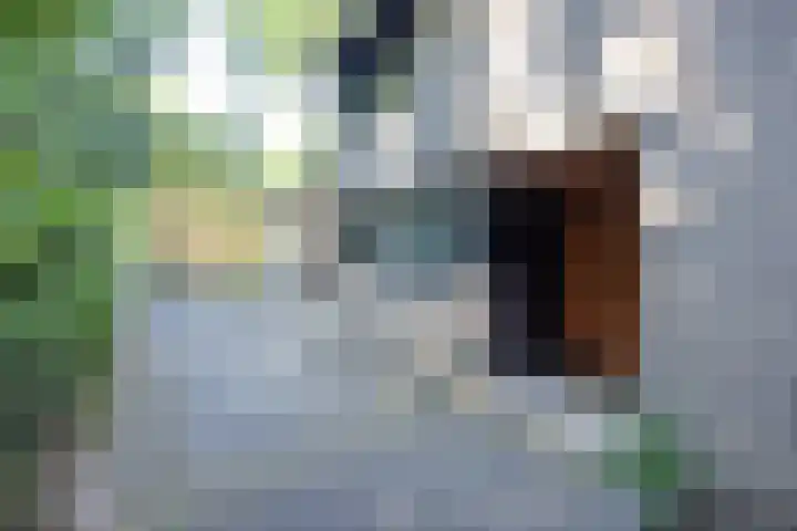 Bastinglaan 7 Enschede thumbnail 9