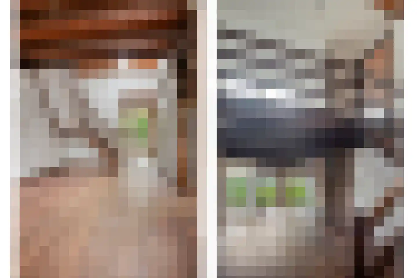 Bastion 1 Huissen thumbnail 15
