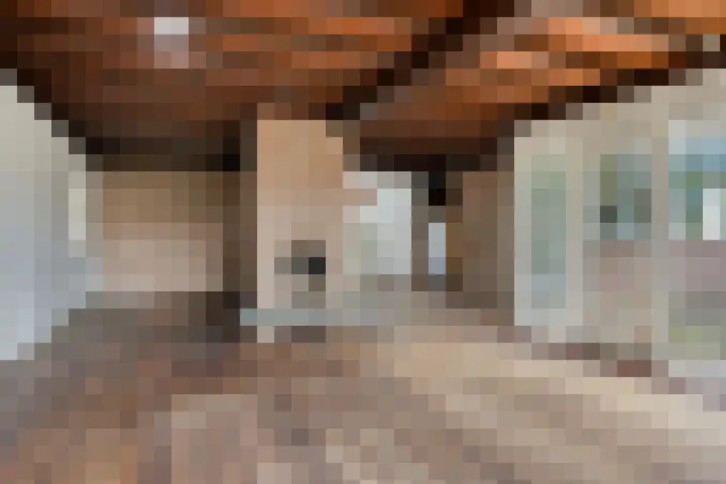 Bastion 1 Huissen thumbnail 19