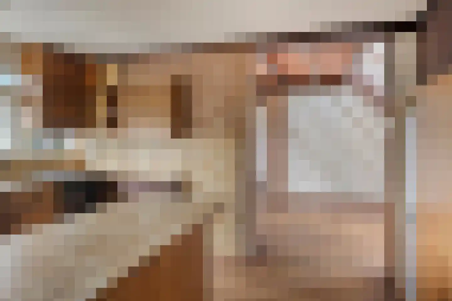 Bastion 1 Huissen thumbnail 30