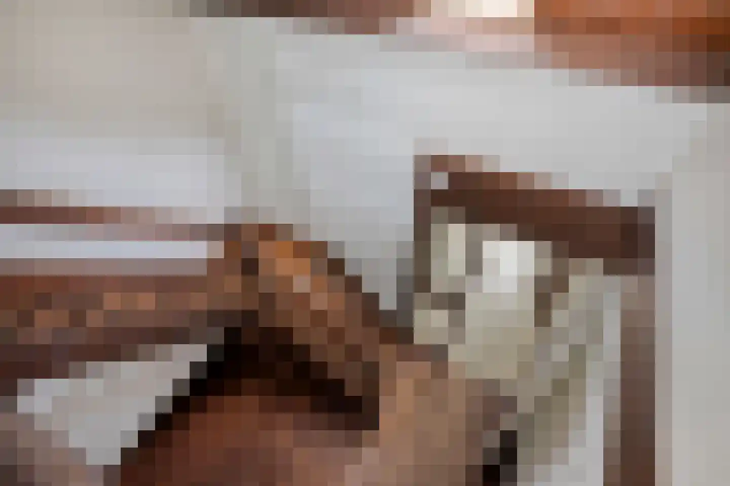 Bastion 1 Huissen thumbnail 40