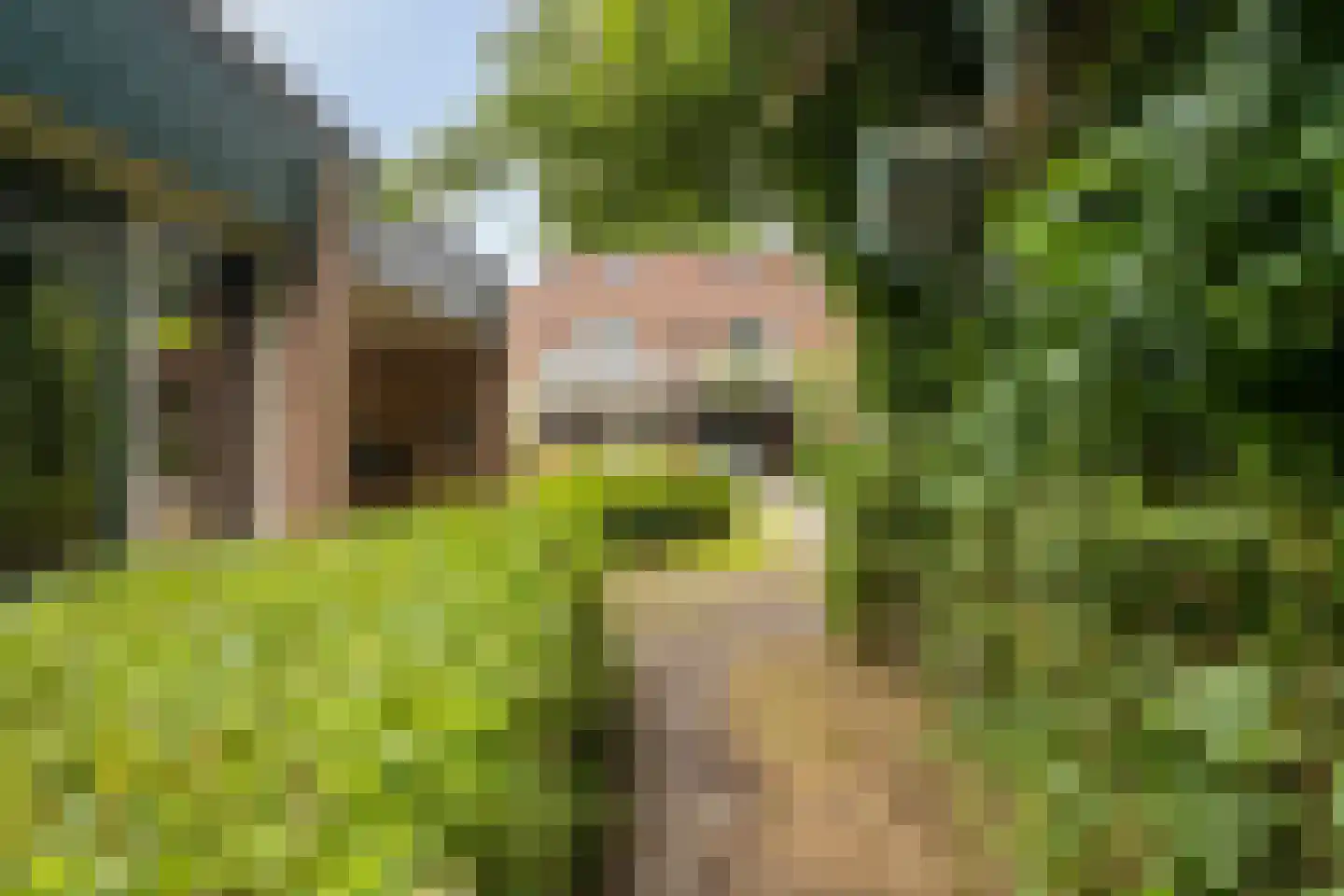 Bastion 1 Huissen thumbnail 5