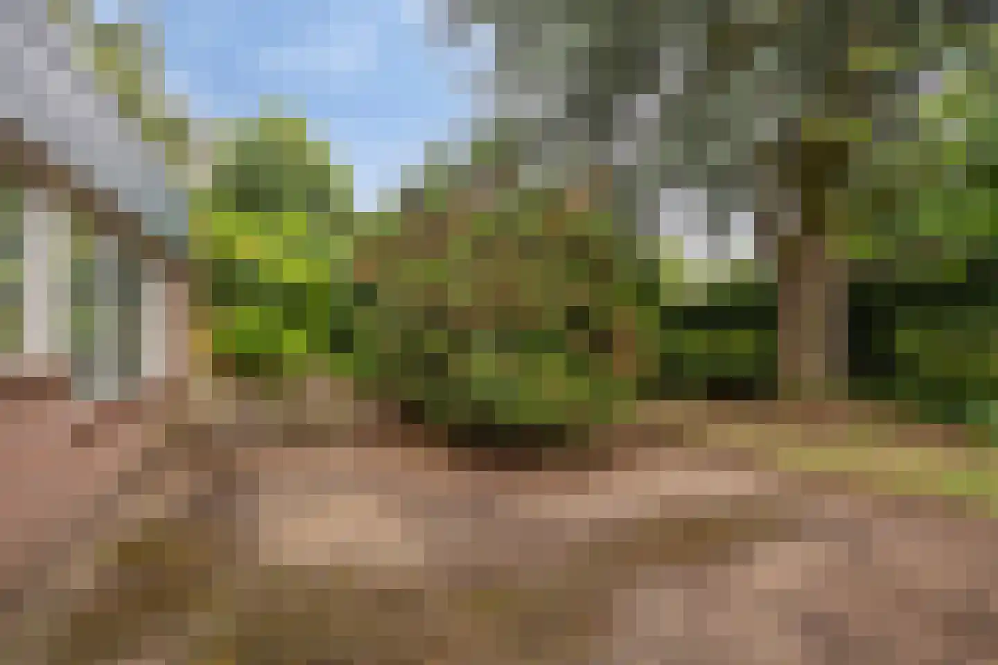 Bastion 1 Huissen thumbnail 56