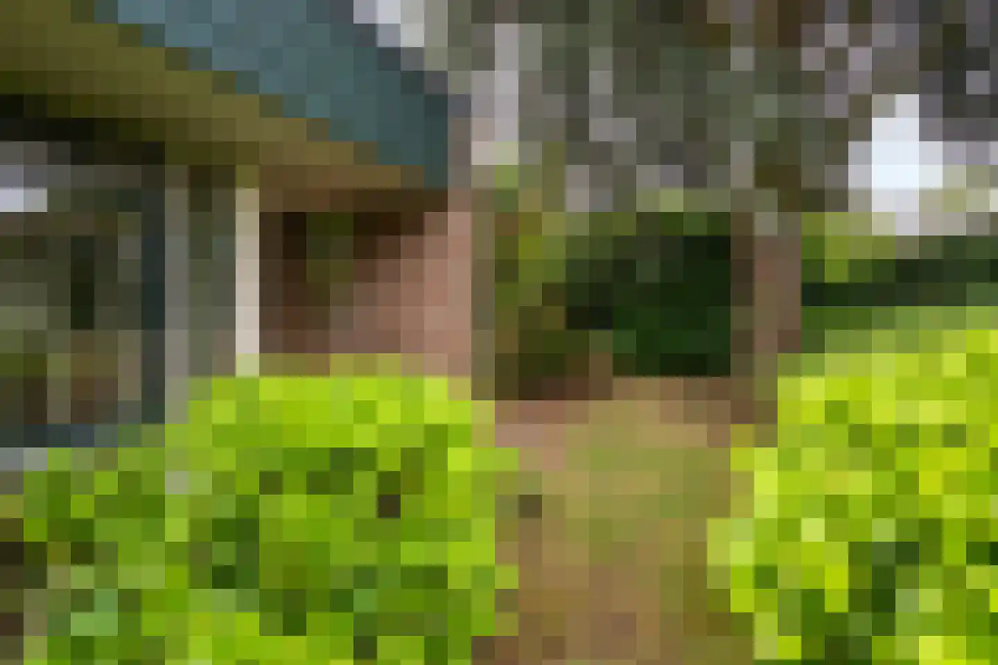 Bastion 1 Huissen thumbnail 58