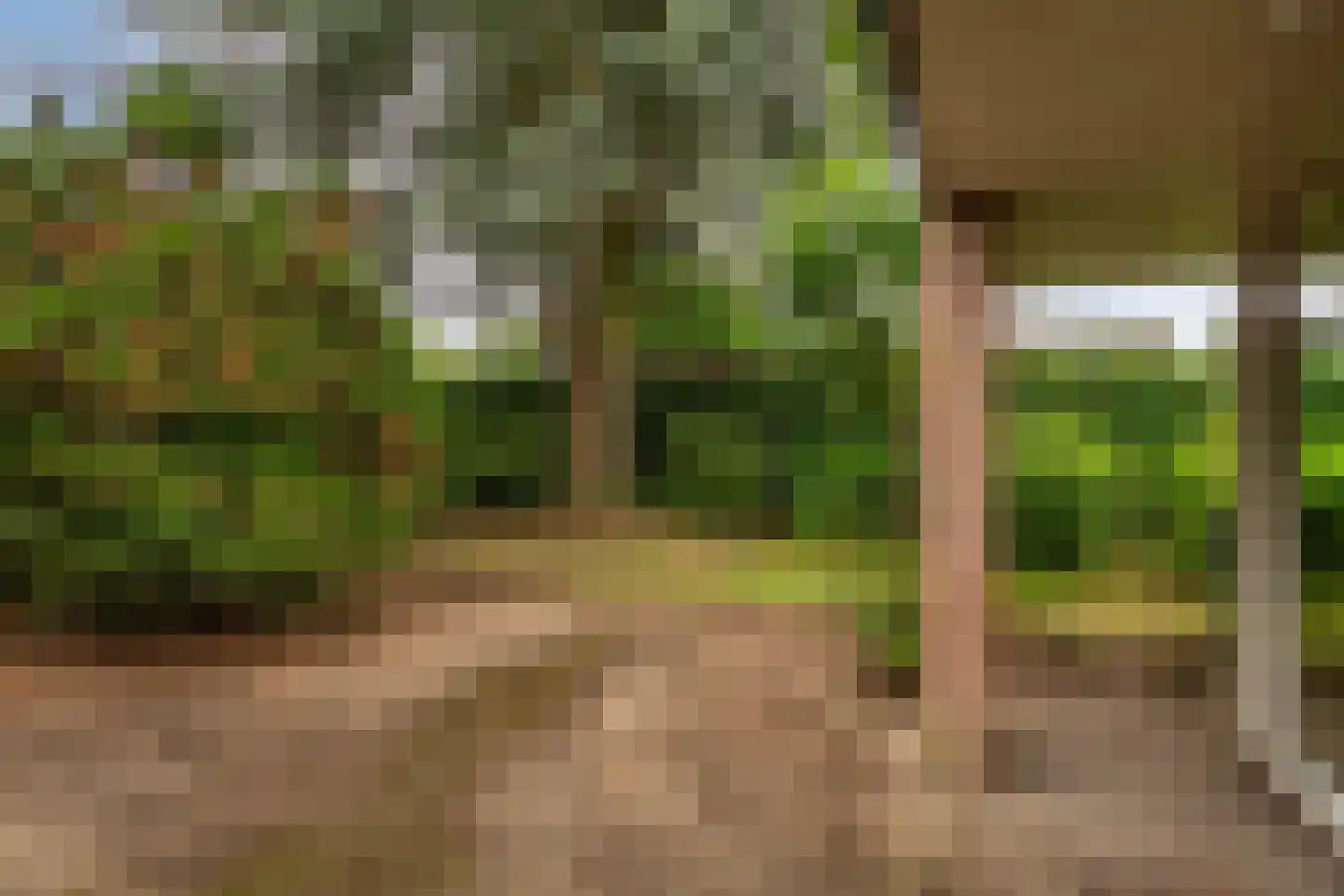 Bastion 1 Huissen thumbnail 59