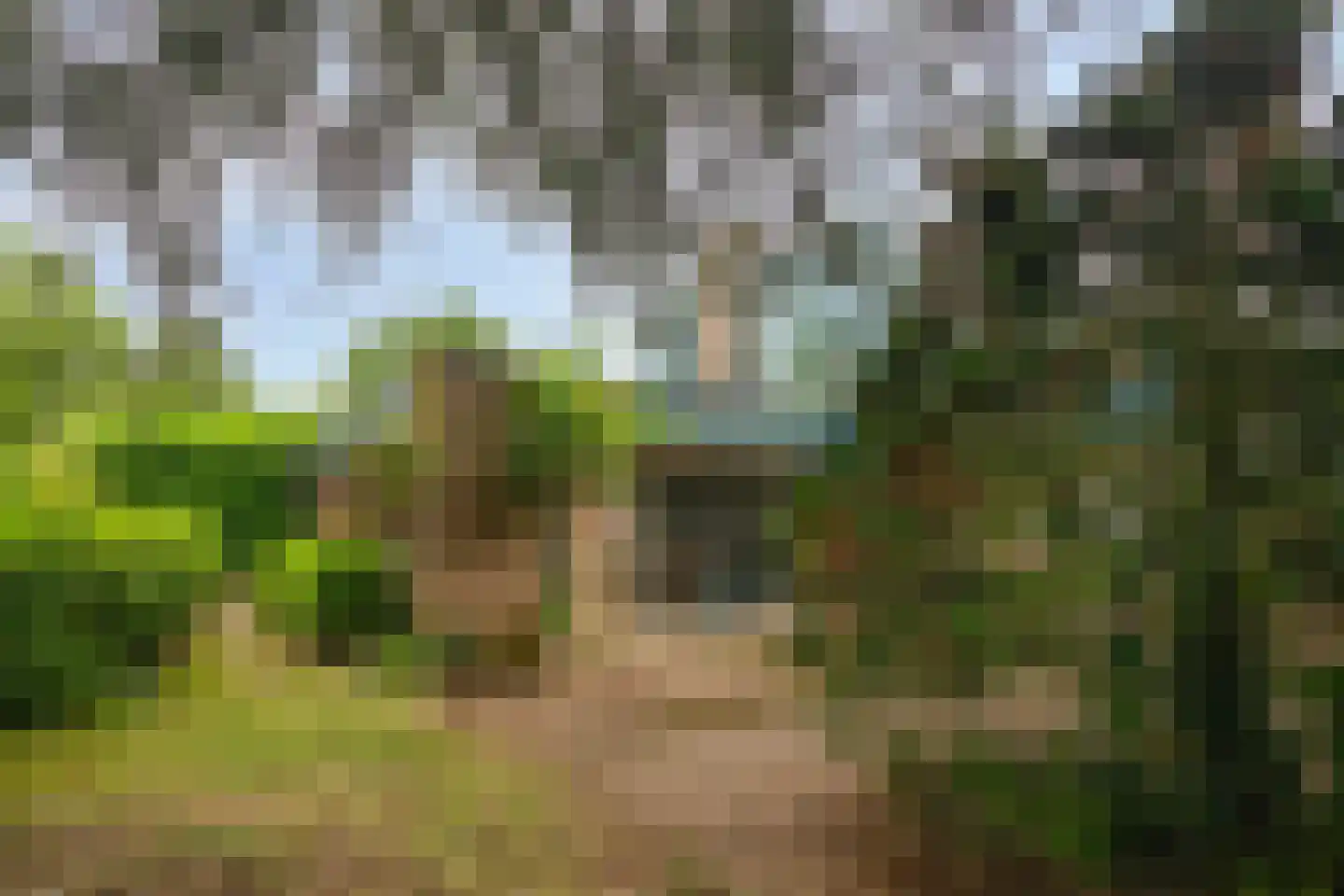 Bastion 1 Huissen thumbnail 60