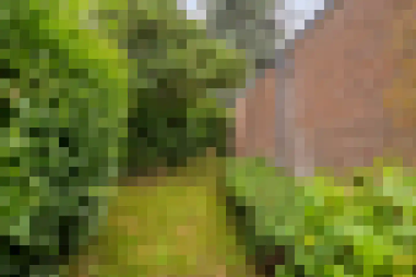Bastion 1 Huissen thumbnail 61