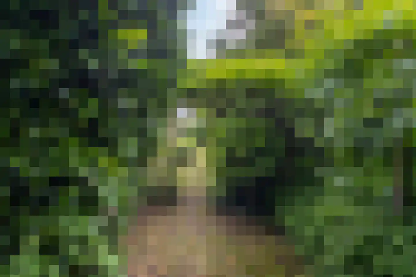 Bastion 1 Huissen thumbnail 62