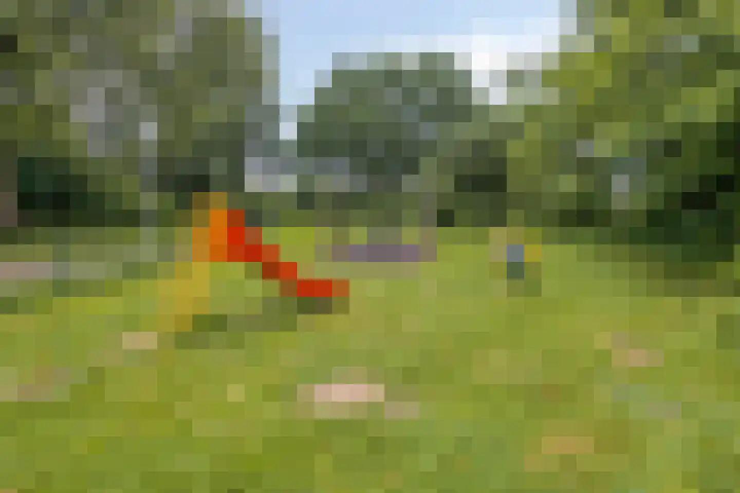 Bastion 1 Huissen thumbnail 67