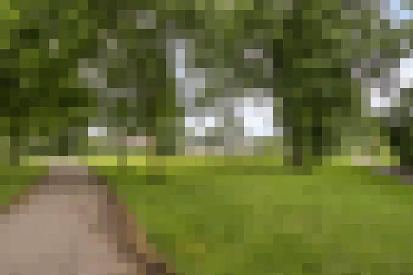 Bastion 1 Huissen thumbnail 68