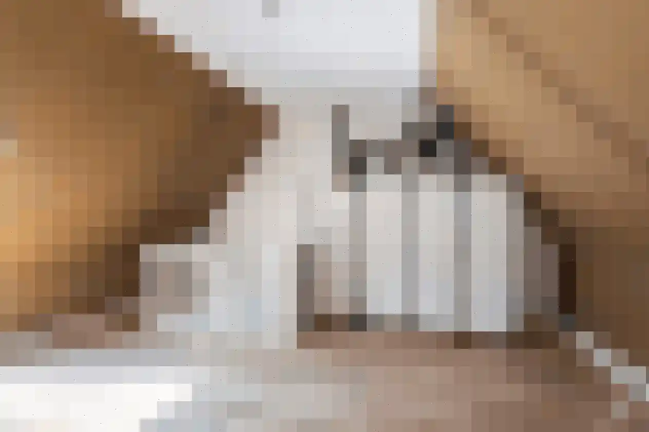 Bastion 13 Tholen thumbnail 31