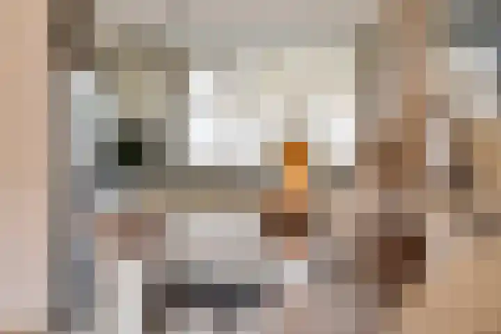 Bastion 17 Hoorn thumbnail 10