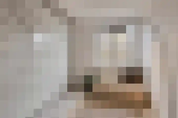 Bastion 17 Hoorn thumbnail 16