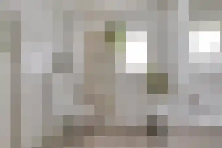 Bastion 17 Hoorn thumbnail 19