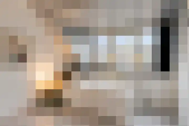 Bastion 17 Hoorn thumbnail 22