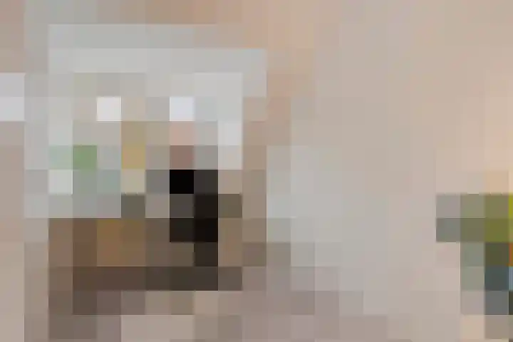 Bastion 17 Hoorn thumbnail 23