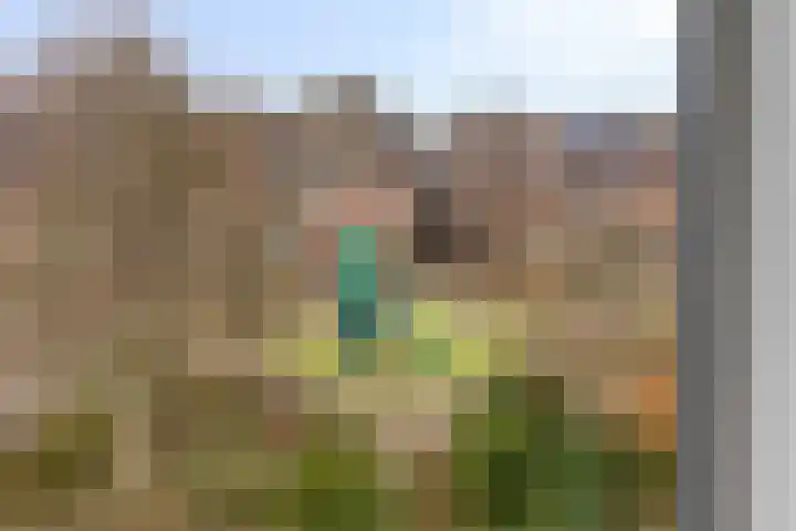 Bastion 17 Hoorn thumbnail 26