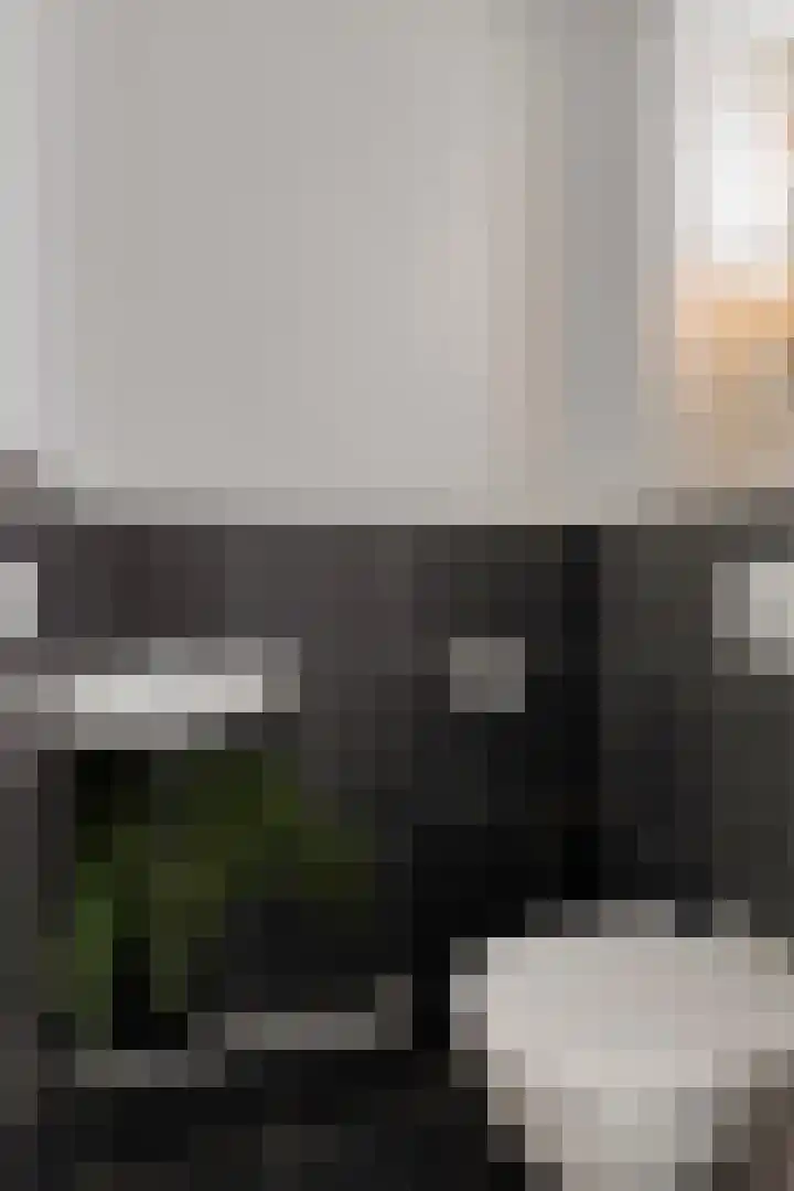 Bastion 17 Hoorn thumbnail 5