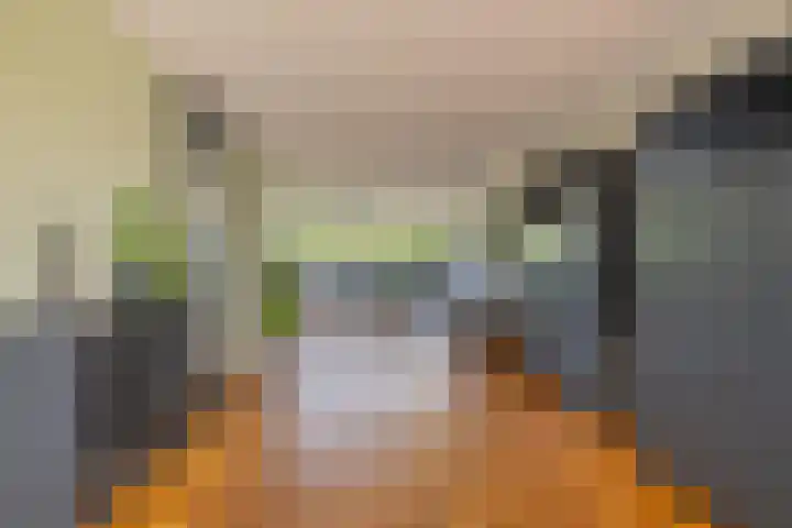 Bastion 17 Oost-Souburg thumbnail 11