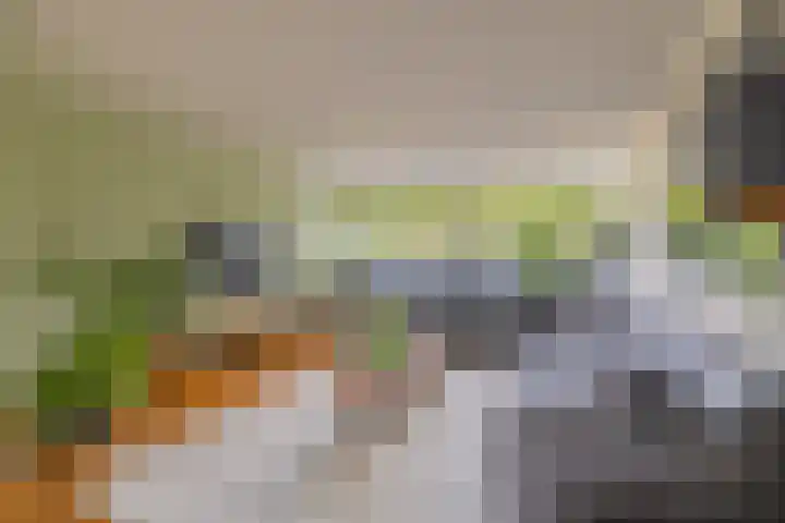 Bastion 17 Oost-Souburg thumbnail 14