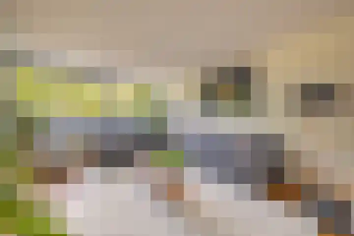 Bastion 17 Oost-Souburg thumbnail 15