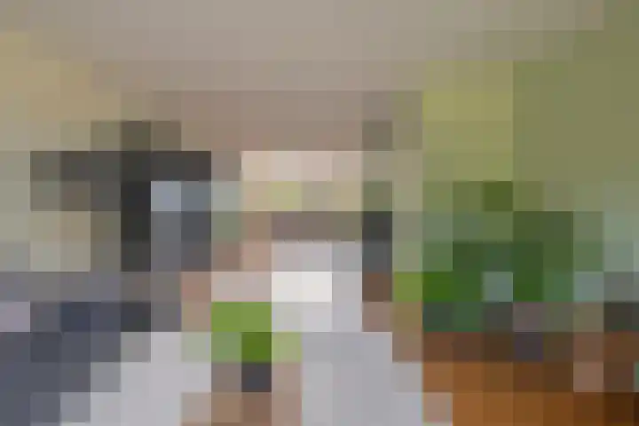 Bastion 17 Oost-Souburg thumbnail 16