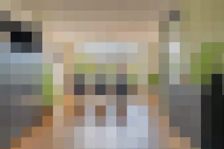 Bastion 17 Oost-Souburg thumbnail 17