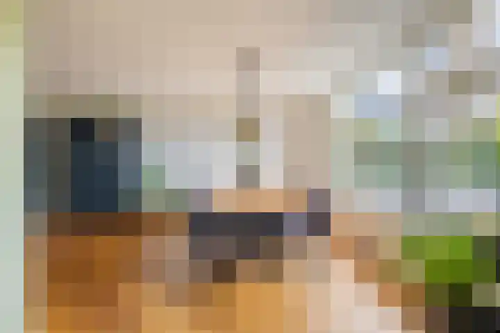 Bastion 17 Oost-Souburg thumbnail 18