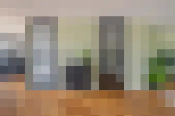 Bastion 17 Oost-Souburg thumbnail 19