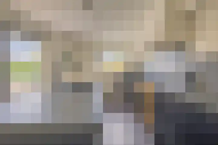 Bastion 17 Oost-Souburg thumbnail 23