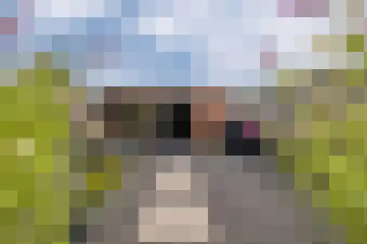 Bastion 17 Oost-Souburg thumbnail 26