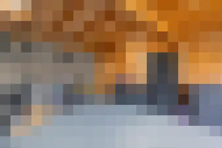 Bastion 17 Oost-Souburg thumbnail 31