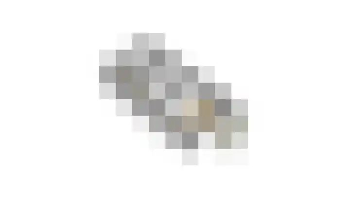 Bastion 17 Oost-Souburg thumbnail 36