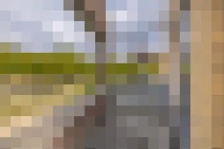 Bastion 17 Oost-Souburg thumbnail 41