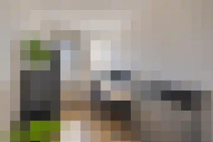 Bastion 17 Oost-Souburg thumbnail 46