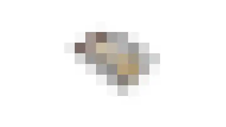 Bastion 17 Oost-Souburg thumbnail 53